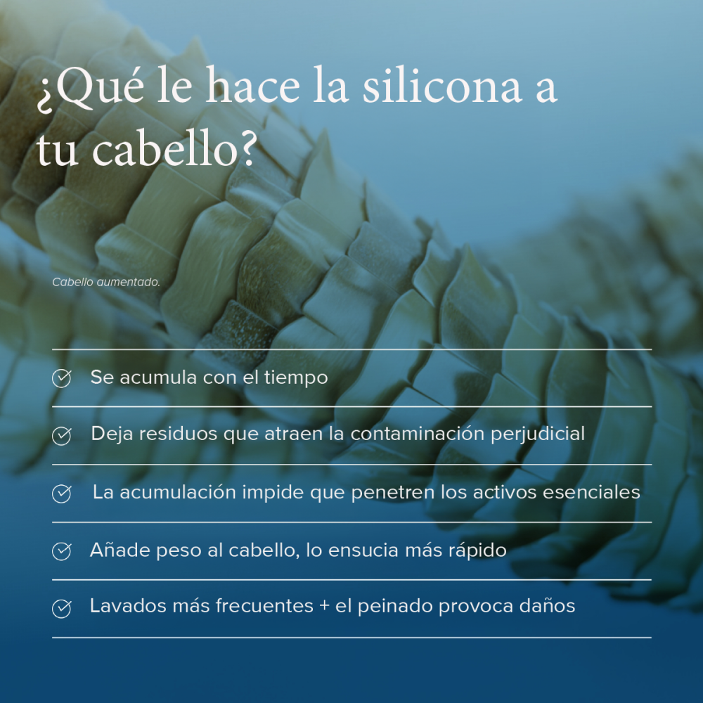 Restore Shampoo 236 ml. Reparación