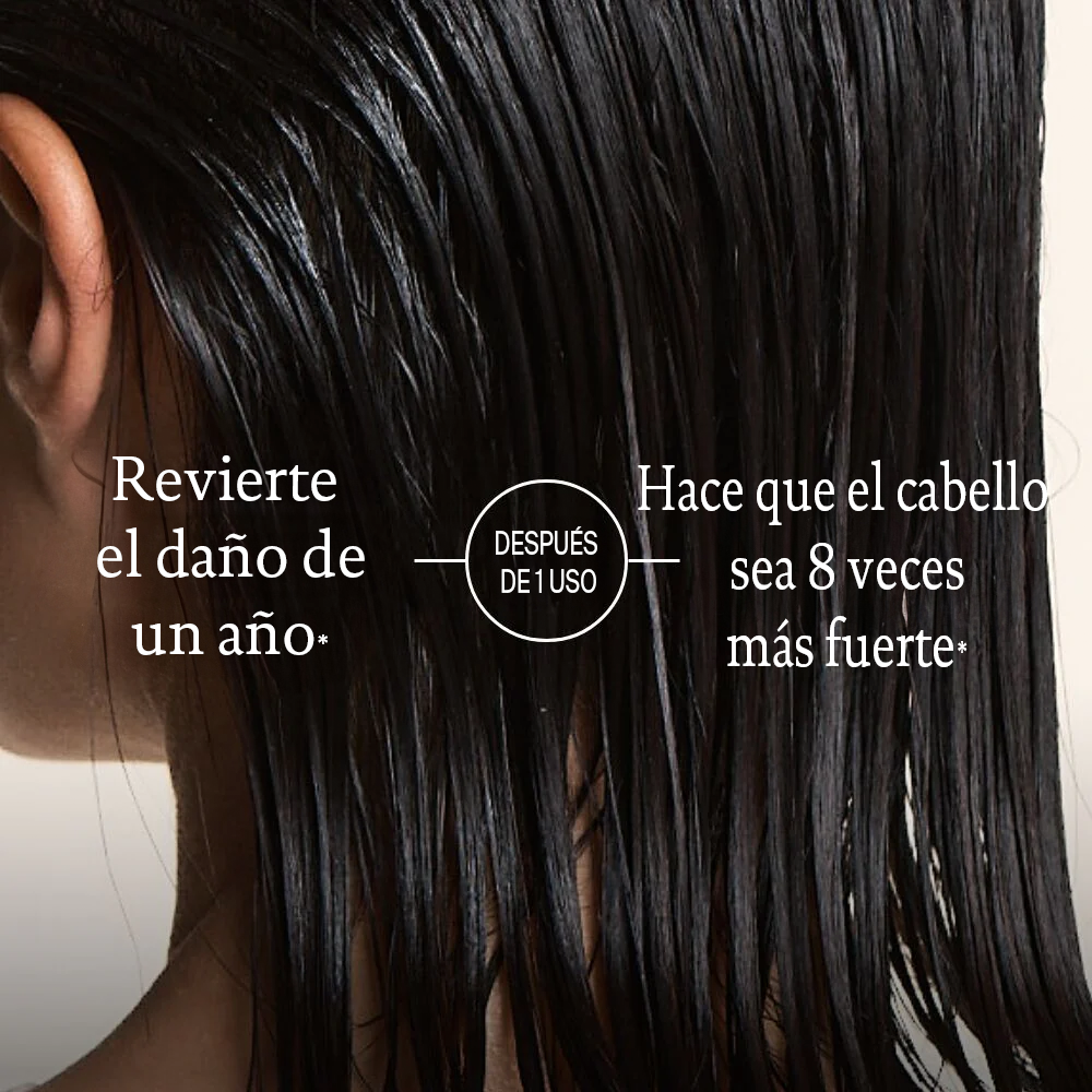 Set Restore y Triple Bond Complex