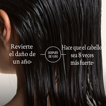 Set Restore y Triple Bond Complex